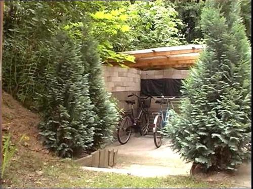 Ferienwohnung-Franziska-Wuensche-Wohnung-1 - image 10