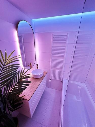 Ambient lounge with sundeck and free parking, Bratislava (fotografie 11)