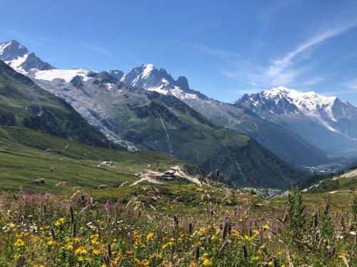 Le calme, le confort, la nature, skis aux pieds, à 15 kilomètres de Chamonix