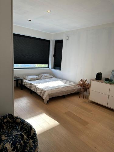 Kamer in hartje van de Vlaamse Ardennen, Oudenaarde (foto 5)