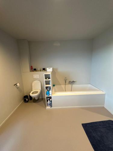 Kamer in hartje van de Vlaamse Ardennen, Oudenaarde (foto 10)