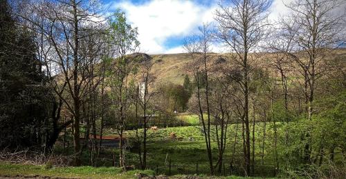 周邊環境, Glenorchy Lodge Hotel-Rooms Only in 達爾馬利