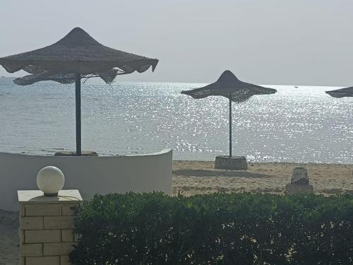 إطلالة مباشرة على البحر شاليه فندقي مكيف بحديقة خاصة راس سدر
