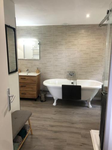 浴室, Gîte aux ânes avec Spa (Gite aux anes avec Spa) in 布爾