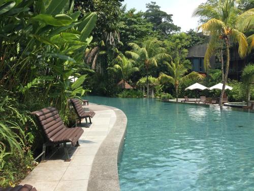 Swimming pool, Siloso Beach Resort Sentosa near S.E.A Aquarium