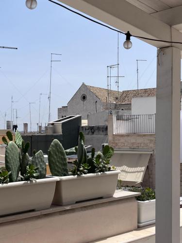 Casa Franca - Terracielo a Bari Vecchia