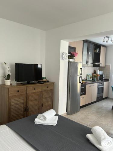 One-Bedroom Apartment image 8