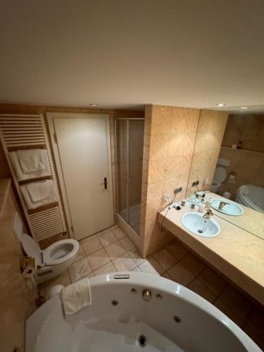 SEE-Hotel Seeschau - direkt am Bodenseeufer Room Type - Double Room with Balcony