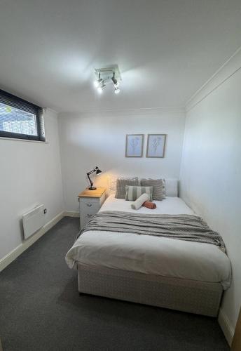 City Centre Rooms in Apartment, Manchester (photo 8)