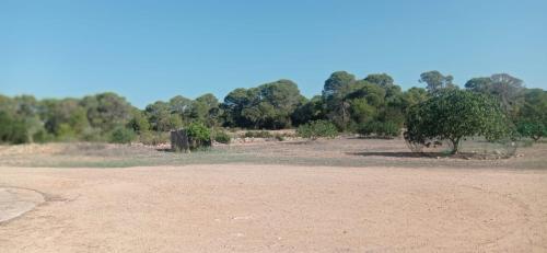 Estudio Cala Saona