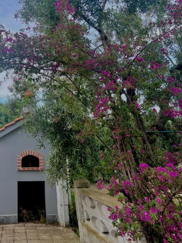 Exterior view, Villa Rita in Corato