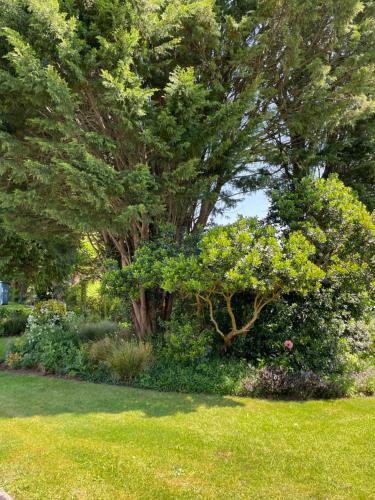 Leylands Annexe - image 5