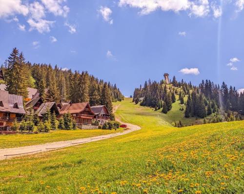 Pansion A&M Vlašić - main image