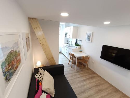 One-bedroom city apartment, Lublaň