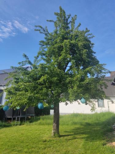 Casa Filada - Ferienort für Alle (Casa Filada - Ferienort fur Alle) in Laubach (Rhein-Hunsruck-Kreis)