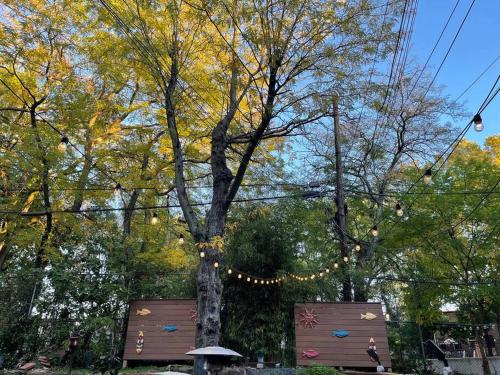 NYC Area Pond Life Suites