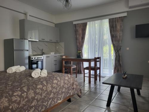 DIMITRA STUDIOS, Città di Lefkada (foto 8)