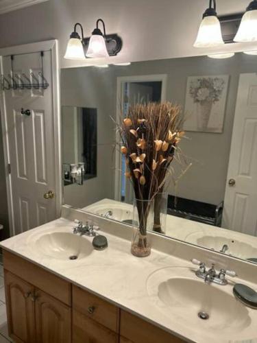 Richland Promise: 3 bdrm/ 3 bthrm in Hope Hull, USA