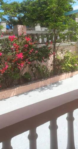 Moho's Cozy Bungalow in Quarter of Orleans