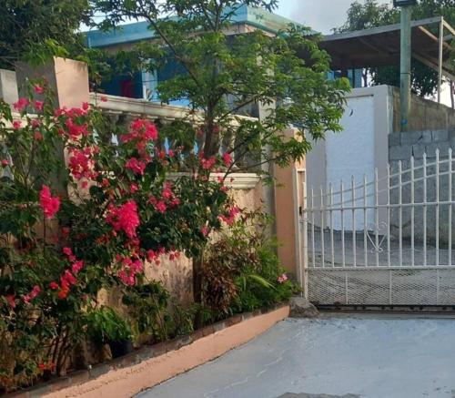 Moho's Cozy Bungalow in Quarter of Orleans