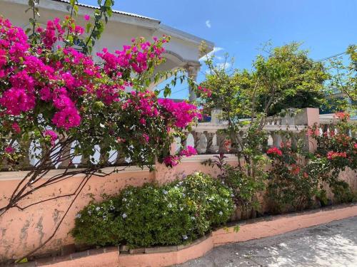 Moho's Cozy Bungalow in Quarter of Orleans