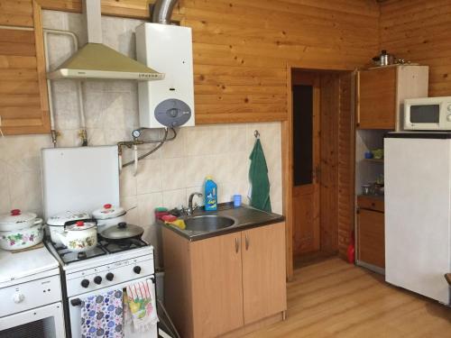 Kjøkken, Pryvatna sadyba Svitanok in Jaremtsje
