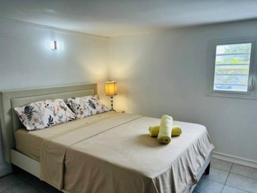 Refuge PêBê Joli logement au coeur d'un immense jardin tropical (Refuge PeBe Joli logement au coeur d'un immense jardin tropical) in Ducos