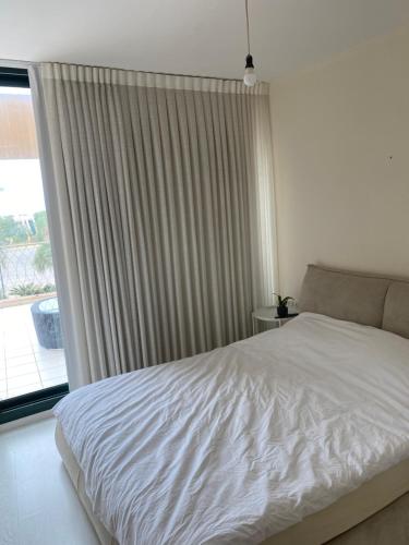 King Dan comfort in Cesaria