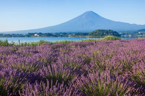 福寿苑　Fukujuen