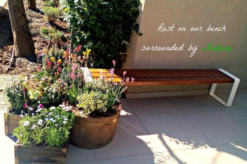 Coco-Mat Hotel Nafsika - image 10