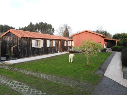 Casita en el Campo