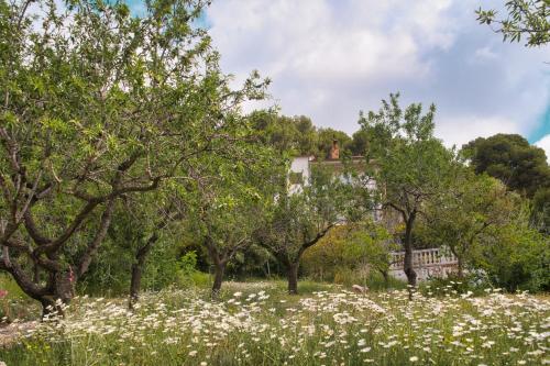 La Muntanera - Eco-friendly apartment