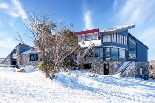 Snowy Gums Smiggins in Perisher Valley
