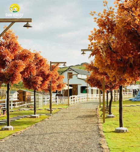 Sun Valley Homestay - 주변 환경