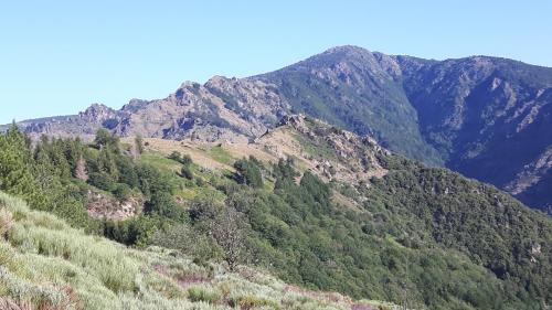 Aux Cyprès du Sud : mer et montagne