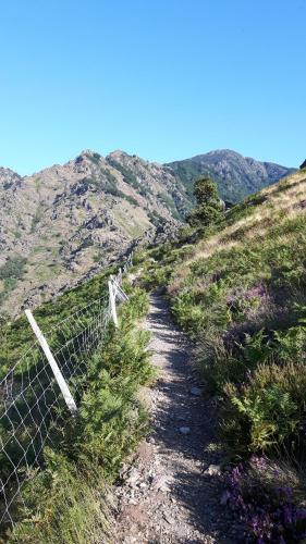 Aux Cyprès du Sud : mer et montagne