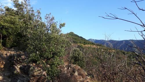 Aux Cyprès du Sud : mer et montagne