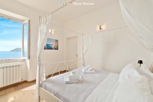 Oltremare, Terre Marine, Manarola (foto 5)