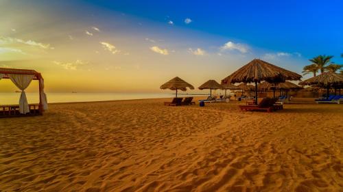 Kefi Palmera Beach Resort El Sokhna - Family Only