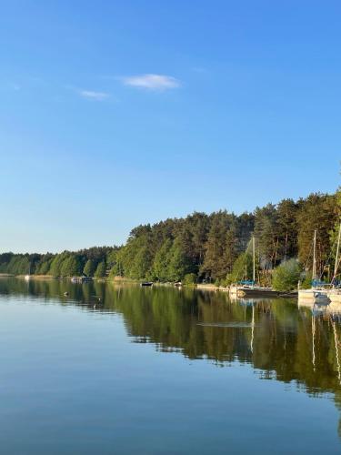 Domek z widokiem jeziora, Borsk (fotografie 8)