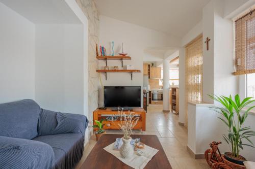 Koplietošanas atpūtas telpa ar TV, Holiday House Fjaka in Donji Lepuri