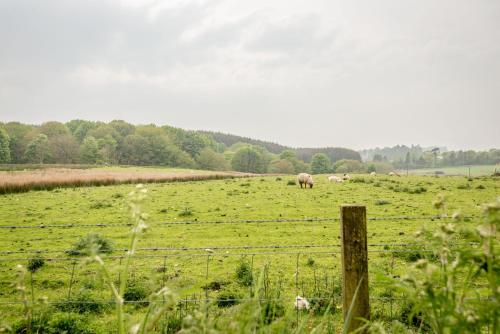 設施, Jura Cottage - Peat Inn in 披特因