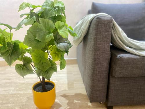 Superbe appartement très bien situé WELCOME STAY, Casablanca (zdjęcie 8)