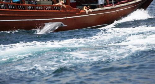 Omgeving, Overnight Dhow - 1 Night 2 Days in Khasab