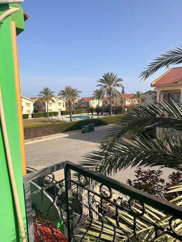 The Green House The Green House