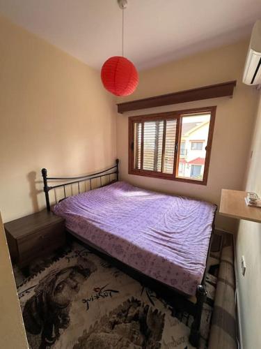 The Green House The Green House