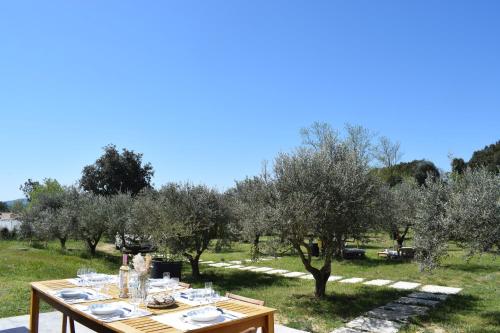 La Villa Les Oliviers - Location, gîte - La Verdière