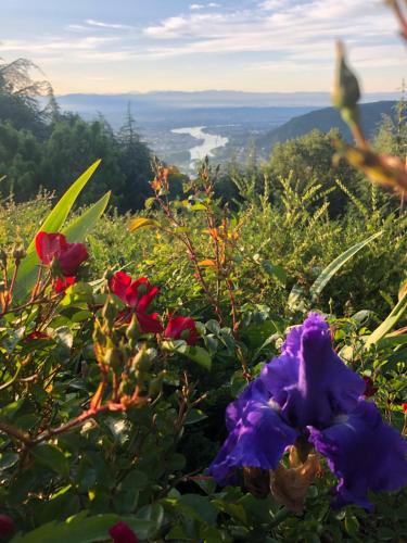 Gîte Ardéchois avec piscine et vue imprenable