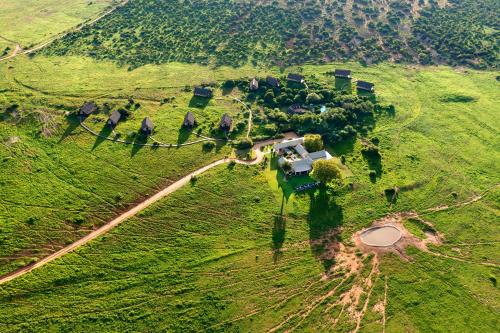 Gorah Elephant Camp, Addo | 2026 Updated Prices, Deals