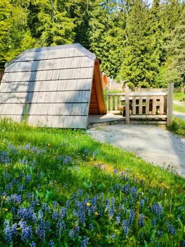 Glamping Lake Bloke